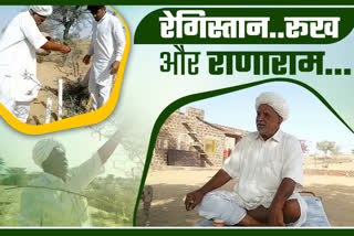 Jodhpur Ranaram Vishnoi,  Tree man ranaram vishnoi,  Ranaram Vishnoi's love for the environment