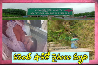 విద్యుత్ షార్ట్ సర్క్యూట్​తో ఇద్దరు రైతులు మృతి