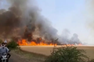 fire in crop