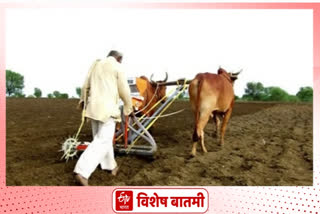 solapur districts many farmers take a Loan on private money lenders