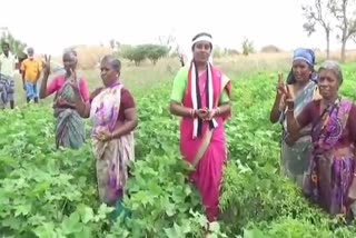 Election 2021 Muthukulathur ADMK, admk muthulathur candidate with mirchi farmers, முதுகுளத்தூர் அதிமுக வேட்பாளர் கீர்த்திகா முனியசாமி, admk muthulathur candidate keerthika muniyasamy