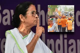 mamata