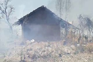 crop fire in Pratapgarh, farm fire in Pratapgarh