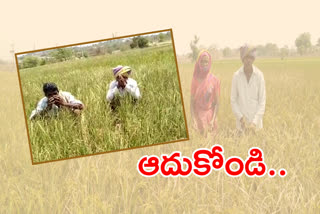 siddipet farmers problems