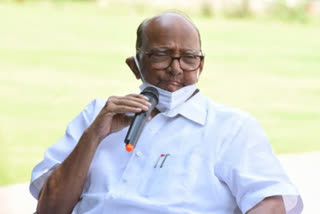 ncp chief sharad pawar