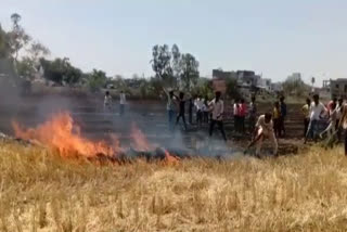 vidisha-farm-caught-fire