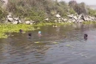 students drowned in yamuna after playing Holi in delhi