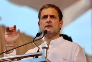 భాజపాపై రాహుల్​ గాంధీ అసోం ఎన్నికలు, rahul accuses bjp assam polls