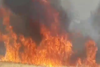 jabalpur-farm-caught-fire