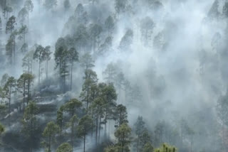 uttarkashi forest fire