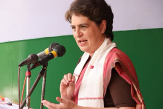 Priyanka Gandhi Vadra, Priyanka