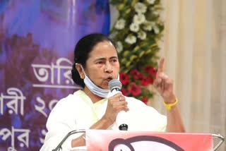 mamta banerjee