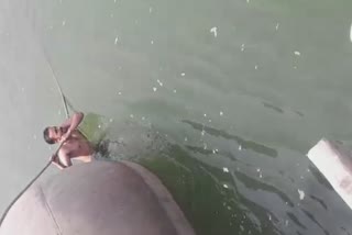 शारदा नहर में डूब रहे चार लोगों के रेस्क्यू का वीडियो वायरल