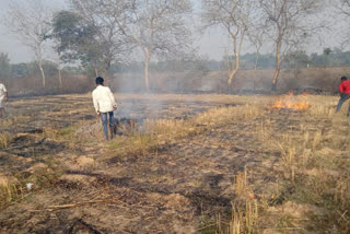 Fire in crops at different places in Lohardaga