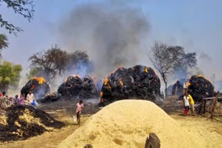 sixty-acres-of-wheat-crop-burnt-due-to-fire-in-bemetra