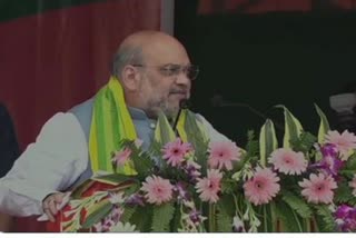 amit shah takes jibe at rahul in election rally