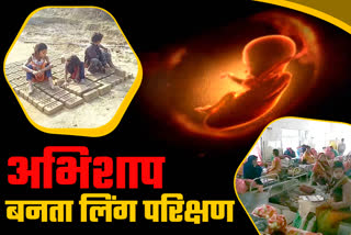 what-is-the-condition-regarding-sex-determination-test-and-feticide-in-shahdol