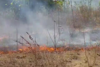 Fire in Bhadua Hill of CCL Giridih Colliery