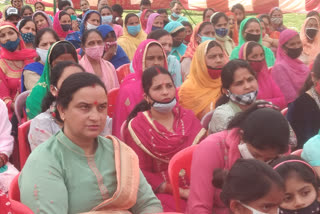 public meeting of bjp in palampur, पालमपुर में बीजेपी की जनसभा