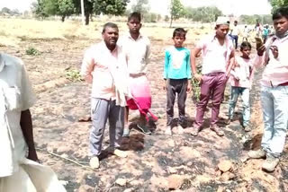 धौलपुर की ताजा हिंदी खबरें, Farmers' crops burnt in Dhaulpur