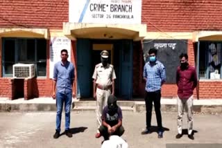 Panchkula Crime Branch drug smuggler