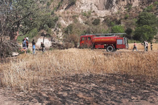 wheat Crop destroyed due to fire in Paonta Sahib