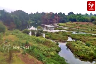 Sukhdi River of Indore explained, Simrol region forests, சுக்தி நதி, Sukhdi River of Indore, இந்தூர் சிம்ரோல்