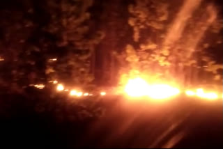 fire in forest in Giridih