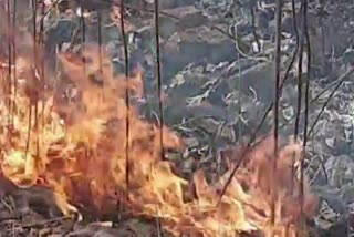 fire-in-forest-in-ramgarh