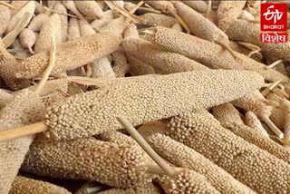 Bajra Biscuits and Namkeen Haryana