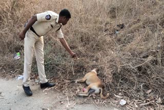 Bombs exploded at Tirupati Sri Venkateswara University