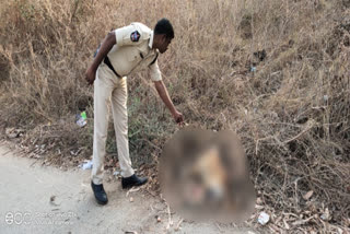 Tirupati Sri Venkateswara University  bomb blast in Tirupati Sri Venkateswara University  Bomb explosion at Andhra varsity  bomb blast in andhra pradesh university  ശ്രീ വെങ്കിടേശ്വര സർവകലാശാലയ്ക്ക് സമീപം ബോംബ് സ്ഫോടനം  ബോംബ് സ്ഫോടനം  തിരുപ്പതി ശ്രീ വെങ്കിടേശ്വര സർവകലാശാല