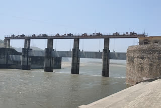 Yamuna river news, यमुना नदी न्यूज