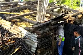 fire caught in cowshed in  kullu