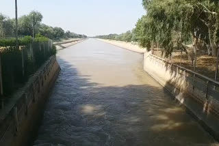 Jaisalmer latest news,  Indira Gandhi Canal Closure