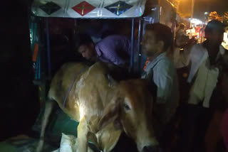 attempt to burn cattle loaded auto in giridih