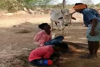 Live video: Boys beaten up, force-fed dung for entering mango orchard