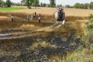 Sonipat Wheat Crop Fire