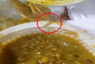 Worm found in corona patient food in rims