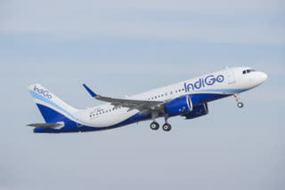 IndiGo  door-to-door baggage transfer  IndiGo door-to-door baggage transfer  IndiGo CarterPorter  ഇൻഡിഗോ  ന്യൂഡൽഹി  ഹൈദരാബാദ്  ഇൻഡിഗോ എയർലൈൻ  കാർട്ടർപോർട്ടർ  CarterPorter