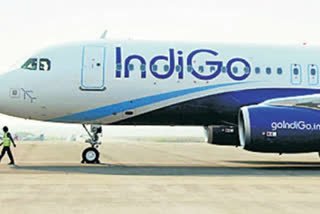 IndiGo