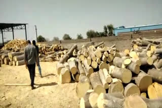 नागौर की ताजा हिंदी खबरें, Action against illegal saw machine