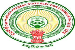 new Standing Council for SEC