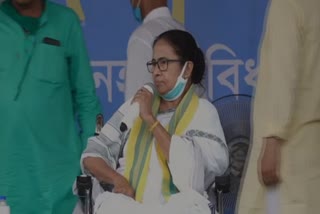 WB polls: Mamata says BJP people are 'goons', calls herself 'paharadar'