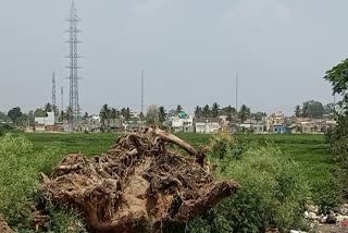 ರಾಮನಗರ ಜಿಲ್ಲೆಯ ಶೆಟ್ಟಿಹಳಿ‌ ಕೆರೆ ಒತ್ತುವರಿ ಆರೋಪ