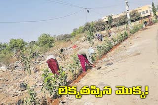 Avenue plantation, telangana haritha haram