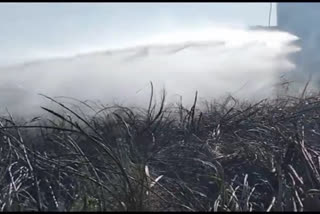 Shahbad sugarcane field fire