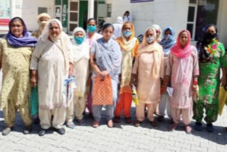 Widowed women are not getting pension in Yamunanagar