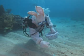 Underwater Easter egg hunt off Florida Keys