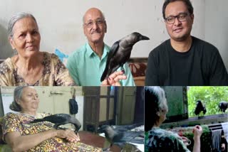 കാക്കയുമായി ചങ്ങാത്തത്തിലായി ഒരു കുടുംബം  മുംബൈ വാര്‍ത്തകള്‍  മഹാരാഷ്‌ട്ര വാര്‍ത്തകള്‍  Kukoo, A crow became member of a Graceful family  story of a crow who became a member of the family  mahrashtra news  mumbai  mumbai latest news